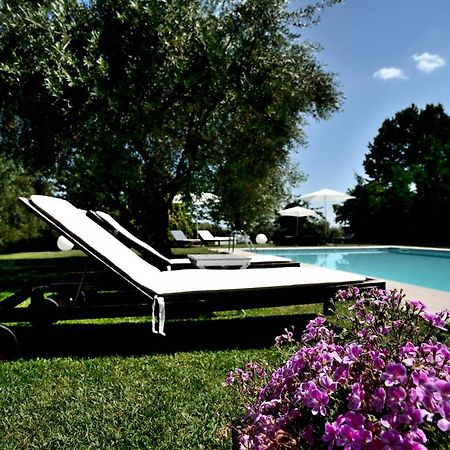 Agriturismo Al Colle Bertinoro Exterior photo